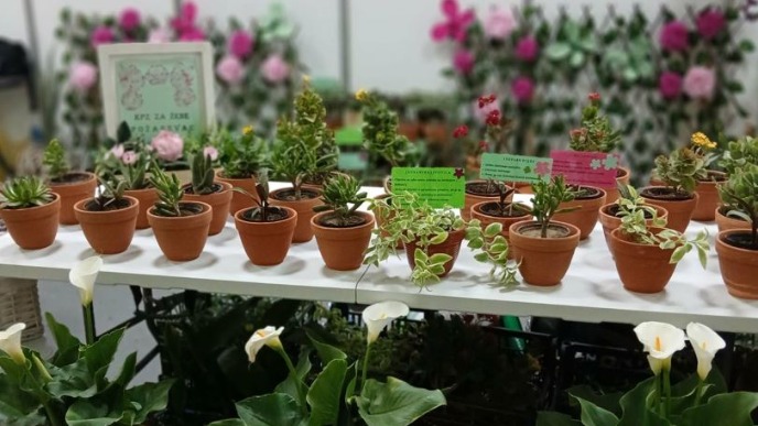 Diplome za popravne ustanove